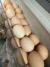 京鲜生柴鸡蛋30枚 3斤 无抗生素 谷物喂养鲜鸡蛋 源头直发 实拍图