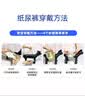乐事宠宠物纸尿裤公狗尿不湿L码/12片/包/15.8-24.9kg腰围55.8-68.5cm 实拍图
