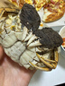 【活蟹】漁家师傅大闸蟹公4.3-4.6两母3.3-3.6两4对8只 鲜活螃蟹生鲜年货礼盒 源头直发 实拍图