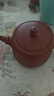 百年利永宜兴紫砂壶纯全手工原矿紫泥泡茶壶功夫茶具竹节汉铎一壶两杯套装 竹节汉铎 240ml 原矿紫泥 实拍图