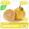 京鲜生 广西红西柚6粒装 单果250g+酸甜微苦生鲜水果 源头直发包邮 实拍图