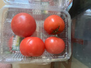 京鲜生&绿行者山东粉番茄净重4.5斤单果100g+生吃沙瓢 源头直发 实拍图