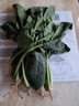 大菠菜300g 实拍图