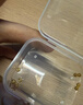 洲足金999金珠黄金小金珠金豆古法金珠DIY配件散珠隔珠路路通转运珠 3mm金珠  合单满 0.16g 包邮 多颗混发约0.05g 实拍图