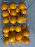 京鲜生 云南油皮金桔/金橘 净重1斤 单果12g起  生鲜水果 实拍图
