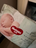 帮宝适超薄透气清新帮纸尿裤新生儿婴儿尿不湿尿片透氧Pro NB66 实拍图