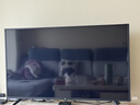 小米（MI）REDMI电视A Pro 55 55英寸 【推荐看看65/75英寸】144Hz高刷 3+64GB 以旧换新L55RB-APE 实拍图