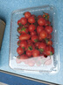 千禧圣女果新鲜小番茄樱桃小柿子孕妇水果现摘现发新鲜蔬菜 新鲜圣女果净重 1斤 带箱 实拍图