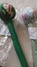 艾草养生锤拍八虚经络穴位敲打神器家用身肩颈背手持式艾灸按摩棒 【礼盒款】加长款31cm绿叶柿柿如意养生锤1个 实拍图