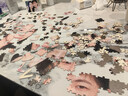爱亦念元旦情人节照片拼图定制成人DIY送女朋友老婆生日活动手工礼物 【荐】520片新款+实木框+礼盒21寸 实拍图