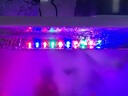 鱼缸灯led灯防水超亮全光谱三色小水族箱潜水专用彩灯灯管 8W三色变光34cm（40-50cm缸用） 实拍图