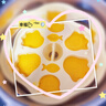 licheers辅食蒸糕模具婴儿宝宝辅食工具家用DIY硅胶冷冻耐高温磨具 猫爪黄 实拍图