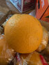 京鲜生 赣南脐橙 净重10斤装 钻石果 单果230g起 生鲜橙子水果年货礼盒 实拍图