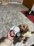 HELLOJOY自动牵引绳带灯伸缩狗链子中小型犬遛狗狗绳防爆冲 黑色5米绳长 实拍图