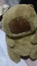 卡皮巴拉毛绒玩具公仔儿童生日礼物女孩情人节礼物水豚毛绒玩偶 卡皮巴拉公仔 1个装（新人专享） 实拍图