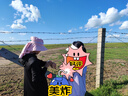 京东京造【高弹透气-直身款】女士防晒服皮肤衣冰丝防晒衣黑色L 实拍图