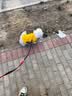 欢宠网宠物狗狗衣服猫咪猫小狗小猫泰迪比熊猫猫小型犬幼犬冬季保暖服饰 实拍图