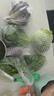 绿食者 新鲜蔬菜沙拉组合4斤 西餐色拉沙拉生菜轻食健身食材配菜 4斤【无沙拉酱】 实拍图