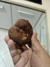 香菇约300g 实拍图