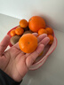 正宗广西砂糖橘当季新鲜水果皮薄多汁无籽橘子 超甜中大果带箱2斤 实拍图