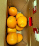 土八鲜江西橙子赣南脐橙新鲜水果赣州脐橙手剥甜橙礼盒 奋进橙9-10斤【单果200g+】 实拍图