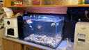 BESSN贝森金晶五线汽车级超白缸玻璃鱼缸客厅裸缸家用水草溪流缸 60*30*35cm6mm厚金晶五线超白送货上楼 实拍图