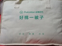 全棉时代儿童抗菌防螨纱布夹棉被芯幼儿园棉被四季通用 寻梦之旅1.2x1.5m 实拍图