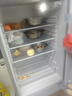 志高大冰箱家用 冷藏冷冻两用宿舍寝室出租房用双门办公室电冰箱节能省电一级能效家用 S278银色【一级能效】【冷藏四层冷冻四层】 实拍图