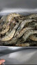 鲜京采 原装进口厄瓜多尔白虾 净重3.3斤 大号30-40规格 50-66只/盒 实拍图