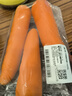 【水果菜】沙地脆甜胡萝卜约500g  实拍图