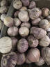 云南紫皮独头蒜干蒜果经3.0mm+ 大果直径3.0左右（3斤） 实拍图