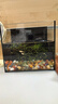 金晶超白玻璃桌面鱼缸小型家用办公室生态懒人全套造景小缸水草缸 裸缸+防滑垫 22*15*20 实拍图