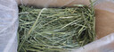 喜帅 精品烘干提摩西草500g 提草荷兰猪龙猫兔子磨牙牧草兔粮 实拍图