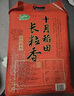 十月稻田 2025年新米 长粒香大米 10斤（东北大米 香米 5公斤/十斤） 实拍图