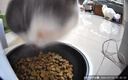 小佩宠物AI智能自动喂食器可视版 定时定量 视频监控(支持鸿蒙智联) 实拍图