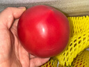 京鲜生 山东海阳普罗旺斯净重4.5斤单果150g起新鲜沙瓤西红柿源头直发 实拍图