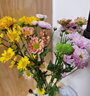 【七彩小雏菊】鲜切花混搭混色多头鲜花插瓶水养花期长七夕礼物 随机混色小雏菊50CM20枝 实拍图