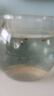 飞达三和圆形鱼缸塑料一体成型仿玻璃防摔耐摔不坏客厅小型桌面生态缸 巨无霸【超清8K高透/摔不碎/久用不糊】 实拍图