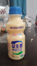 乳酸菌益生菌风味饮料乳酸菌饮品340ml/瓶早餐酸奶好喝 益生菌340ml*1瓶 实拍图
