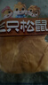 三只松鼠无蔗糖水牛乳千层吐司1.05kg 高钙早餐面包手撕代餐饱腹零食点心 实拍图