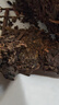 泾渭茯茶黑茶 过节礼品 咸阳茯茶 陕西特产 金花茯砖茶 贡金茯茶150g 实拍图