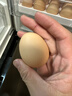 京鲜生富硒鲜鸡蛋30枚 3斤 源头直发 实拍图