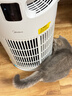 美的（Midea）家用宠物空气净化器 吸猫毛除过敏源猫猫搭子猫毛净化器杀菌消毒除猫狗异味小怪兽PET500 实拍图