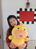 多爱（Duoai）  正版水豚噜噜公仔毛绒卡皮巴拉玩偶超大号送女友生日礼物情人节 呆呆 45cm 送女孩女友道歉礼物送女生男生 实拍图