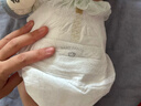 babycare金山茶花婴儿拉拉裤mini装XL码18片(12-17kg)尿不湿【新老混发】 实拍图
