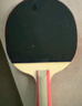 红双喜DHS一星级横拍对拍乒乓球拍H1002附球包乒乓球 实拍图