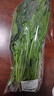 大菠菜300g 实拍图