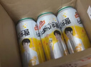 青岛啤酒（TsingTao）汉斯小木屋菠萝啤果啤菠萝风味啤酒 500mL 12罐 整箱装 实拍图