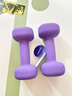 乐系小哑铃浸塑女士家用健身力量训练练手臂健身器材铁 桔梗紫3kg*2只 实拍图