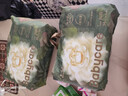 babycare金山茶花拉拉裤XL34片(12-17kg)婴儿尿不湿超薄透气新生柔花苞裤 实拍图